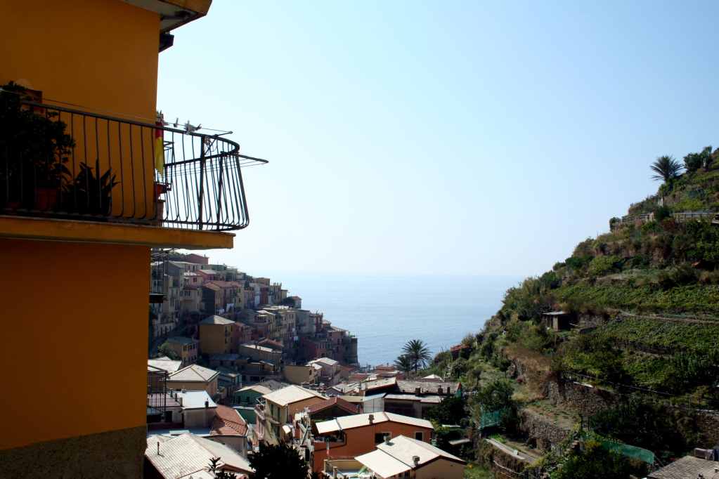 View from the top of Manarola