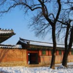 what to do in Seoul