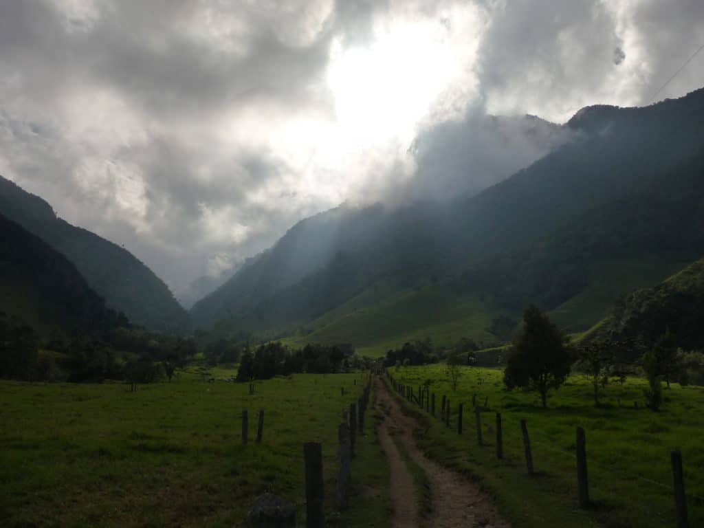 Cocora Valley Colombia