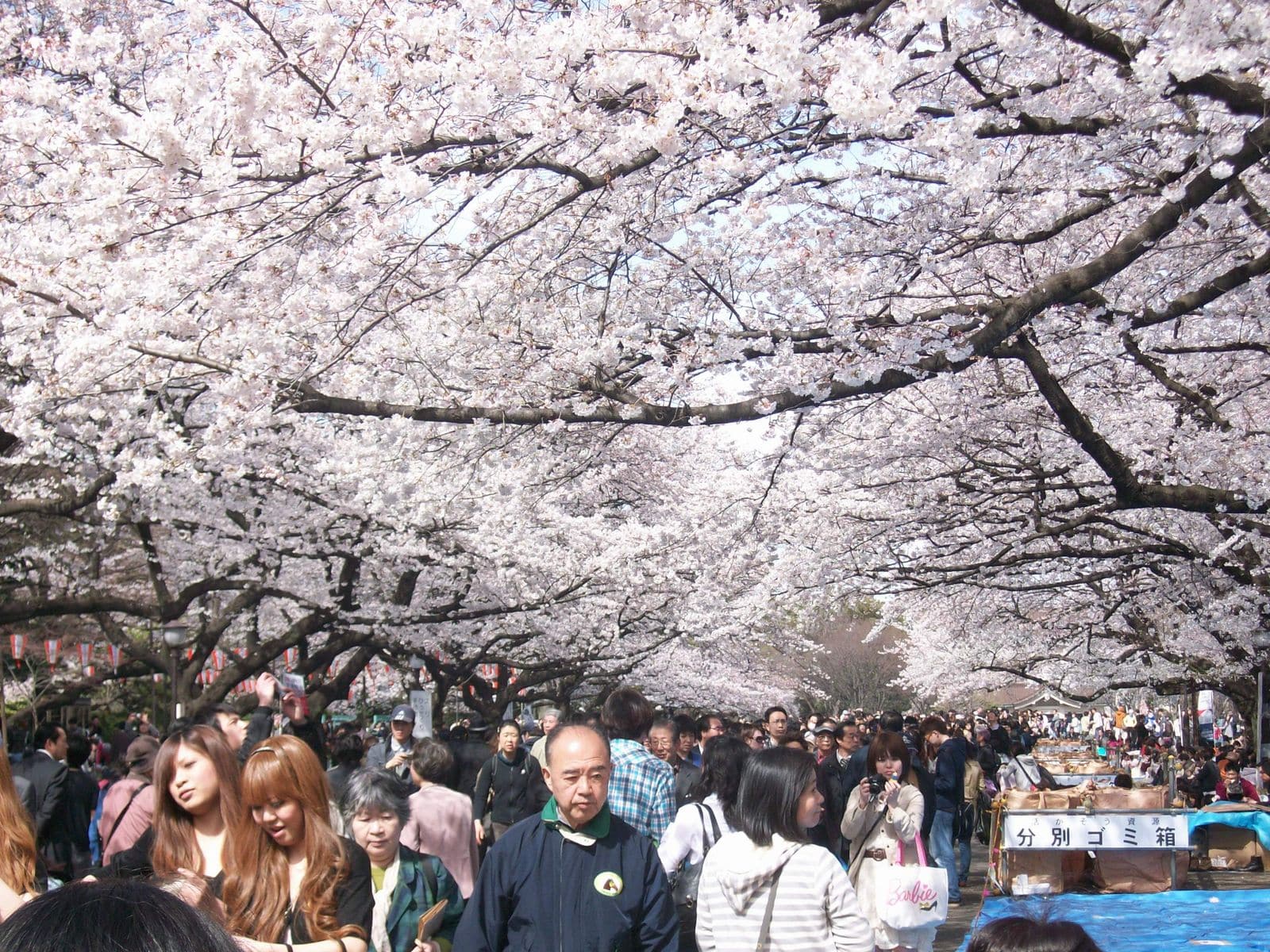 Must See Do Things In Ueno Area