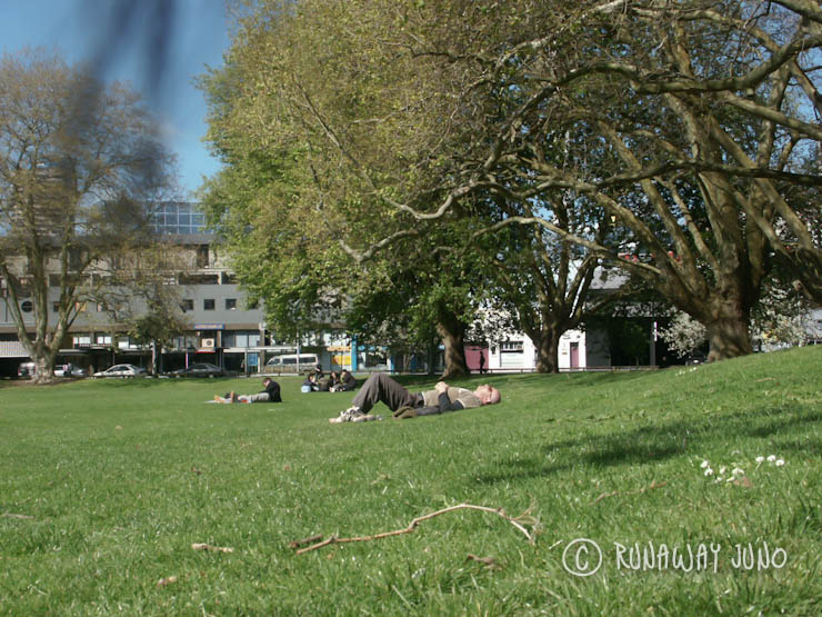 Easy going New Zealand