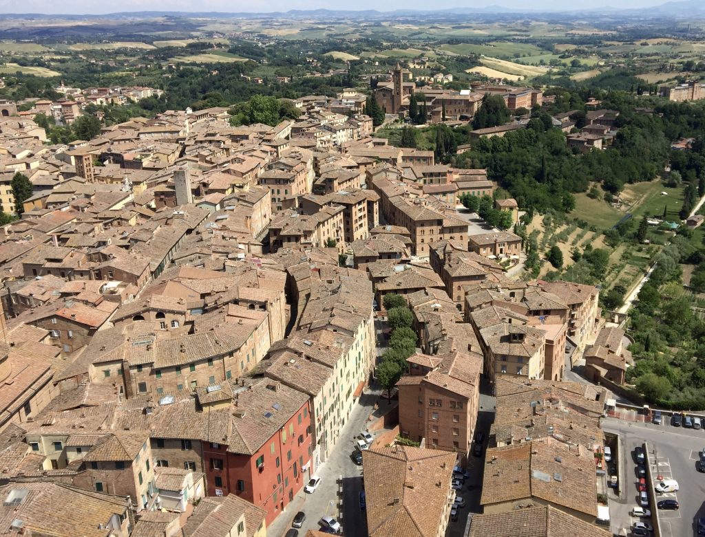what to do in siena italy