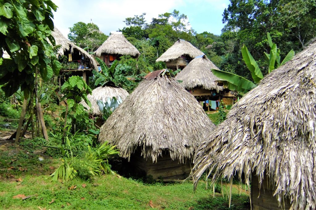 Cruise the Panama Canal thatch hut Embera village