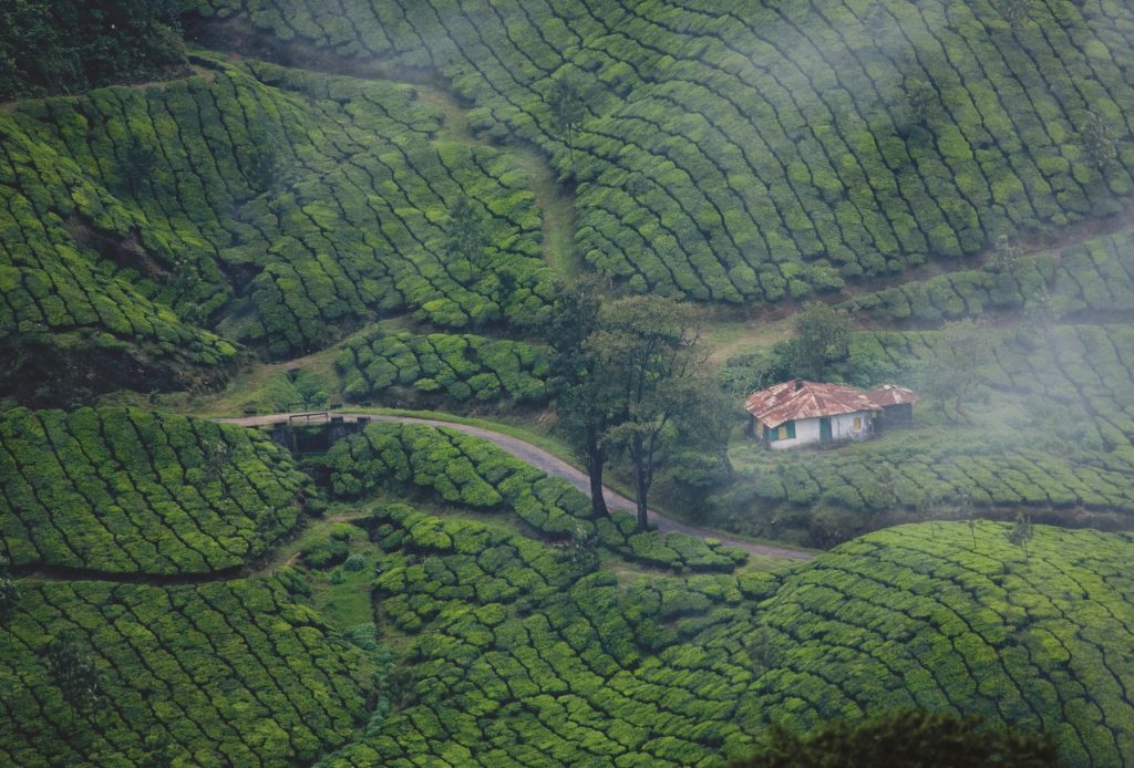 where to visit in Kerala