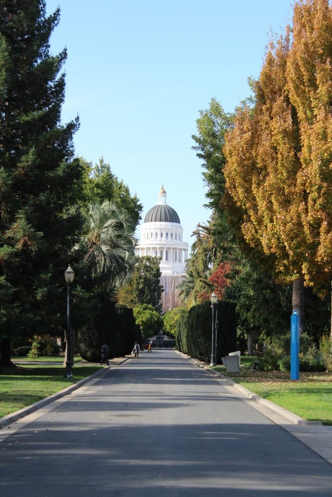 A Quiet Capital Seeing- Sacramento Like a Local
