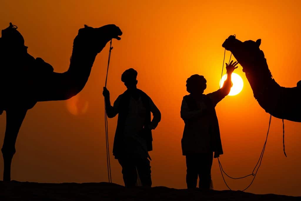 Travel More Sustainably on Your Next Trip to Rajasthan camel